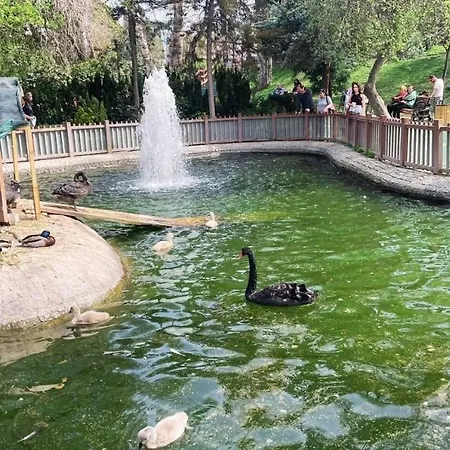 Kaira Homes 2 Apartmán