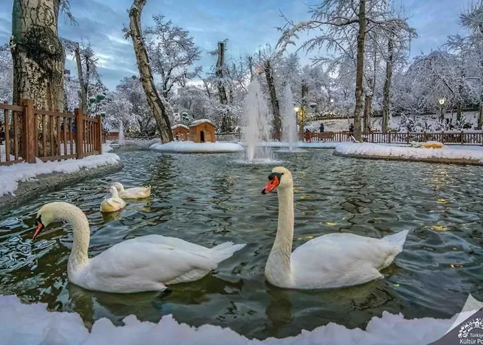 Kaira Homes 2 אנקרה