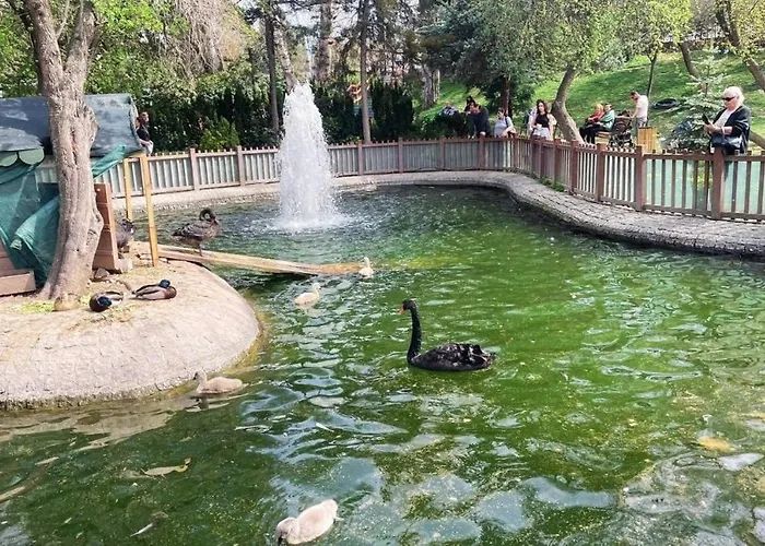 Kaira Homes 2 דירה